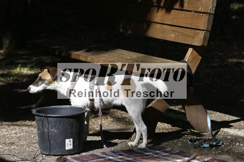 Archiv-2025/16 16.05.2025 PROMAX ADR/Impressionen